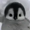 anhkiet10044