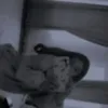 hellopupsik45._8
