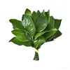 _yewzhaolusi_