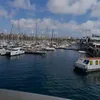 salimballo73