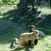 miciobauadottaunamico