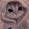 alya_husna123