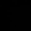 ali.brsh06