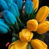 olya.shukailo14