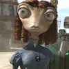 feijao017