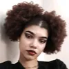 dracculaura__