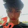 havlikk_