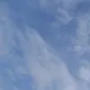 can_chn18