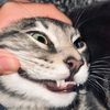 rnoalfhrzi