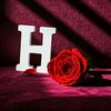 user1976981867013