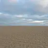 imcoltonm