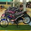harbiemalabar729