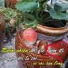 truongnguyen_167