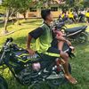 king_sabot