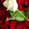 user7812946180761