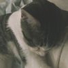 vivian_467