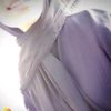 alwan330