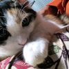 raysha_04
