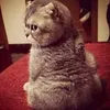 usero4d66jcofw