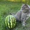 usertoaa6w620y