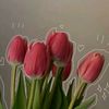 _farha_alam0
