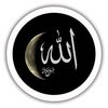 al_haseeb604