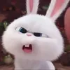 _ytksmtg
