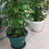 greenfingerslandscaping5