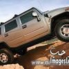 userq8bu5lwgdh