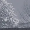 cyhmelaamv