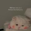 adanfatima4434