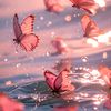 peace_5_6_1