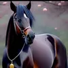 blueberryme2