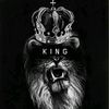 kinglion831