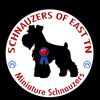 minischnauzer68