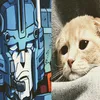 megatron_empire