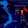 678118phongvan