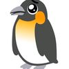 waleedchaudhary771