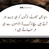 aamirmalik2494