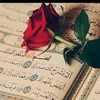 aia_kurdi.7