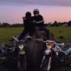pantheravod250as