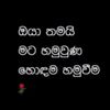 user5905520324118