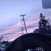 realinthefield3