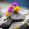 dawde_gyan