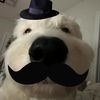 jettdaddyclips