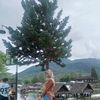 evisuriani.hutauruk