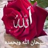 mnoorisaleh