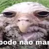 uuuu__2025