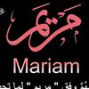 mohammedmahmoud80668