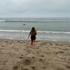 jurzie_krown